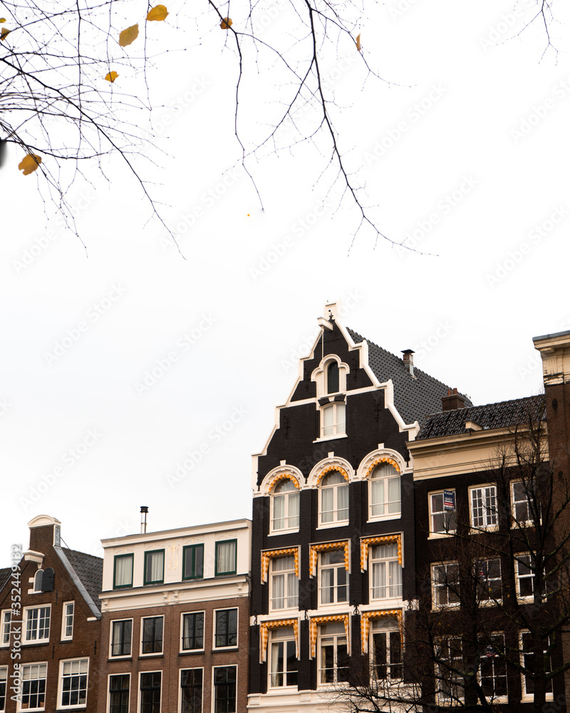 an autumn city/town scene with golden leaves matching the classic architecture and town houses. A classic Amsterdam scene