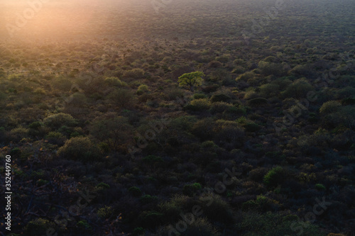 Weite der afrikanischen Savanne bei Sonnenuntergang © Nena