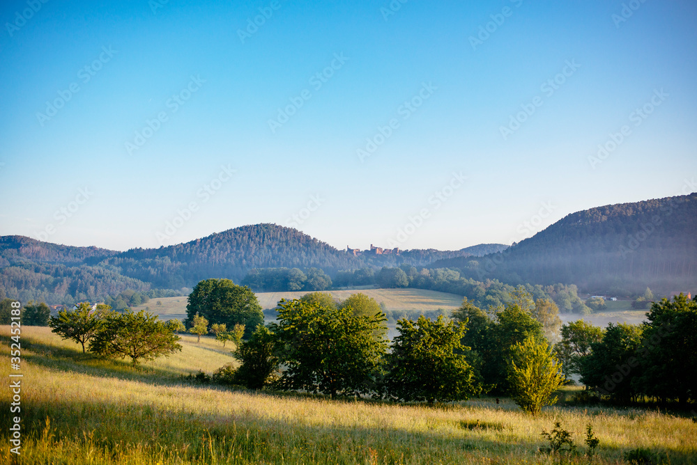 beautiful landscape in the palatinate forest