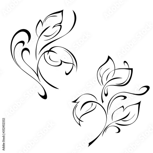 stylized twigs with leaves and curls in black lines on a white background