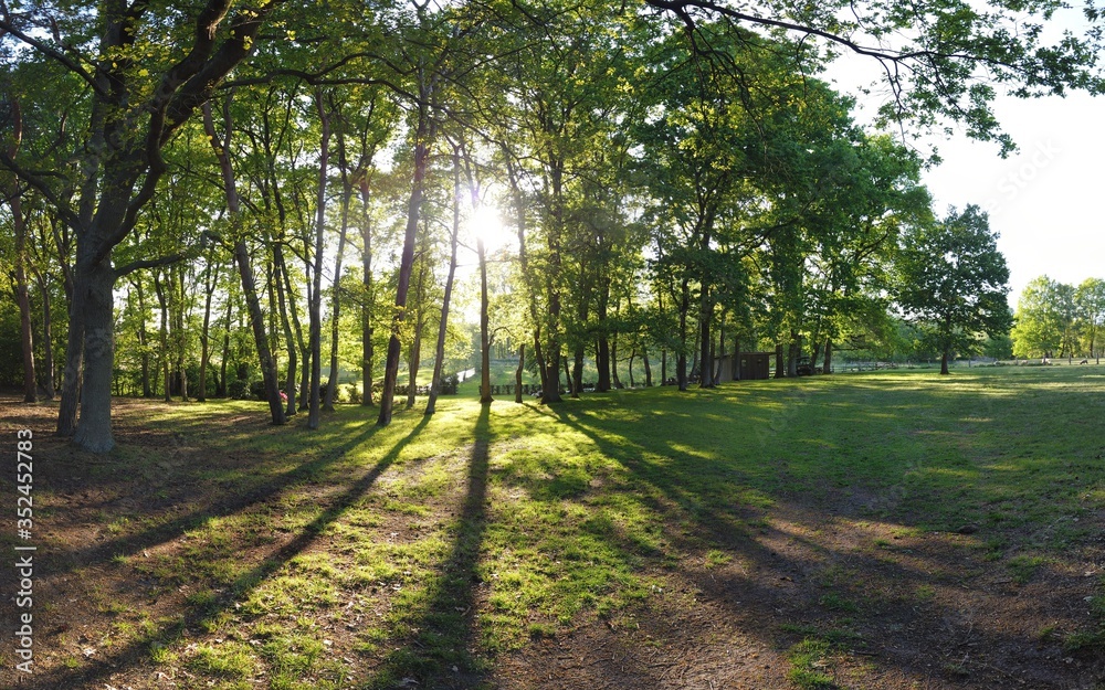 panoramic Environment freshness at village with clouds and natural elements around