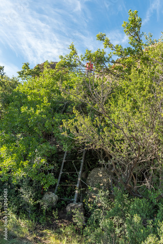 Hiker on ladder above the Eland Hiking Trail at Eingedi photo