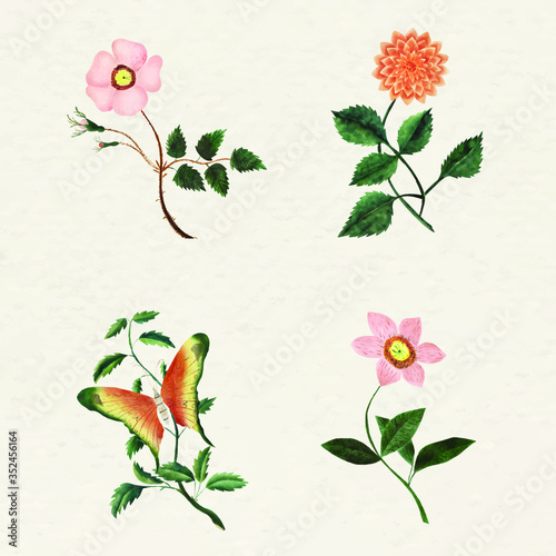 Vintage flower set illustration vector