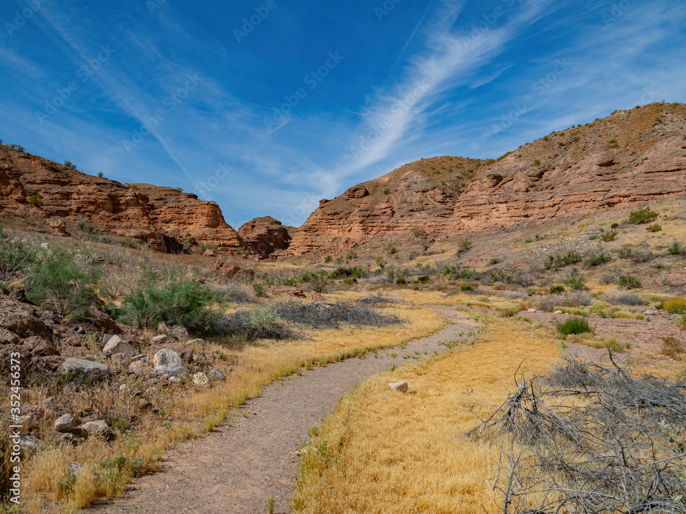 Beautiful along the famous White Owl Canyon trail