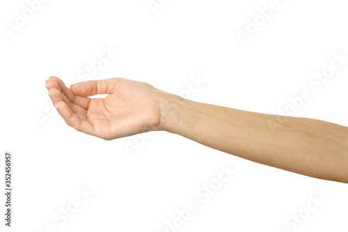 Wallpaper Mural Outstretched female hand. Woman hand gesturing isolated on white Torontodigital.ca