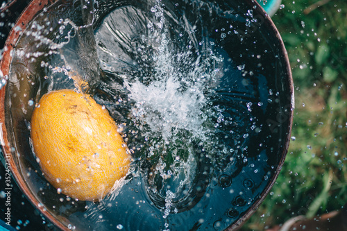 Foto melon fall into the water, summer concept, fruit splashing water