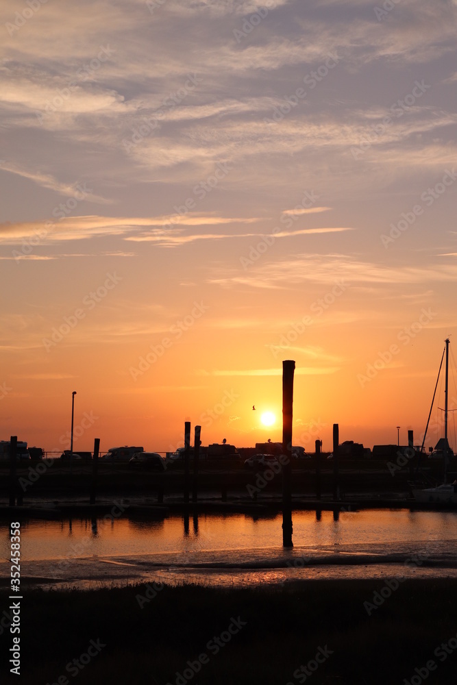 Obraz premium Sunset with bird