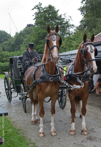 Historic carriage with horses. Maatschappij van Weldadigheid Frederiksoord Drenthe Netherlands. 