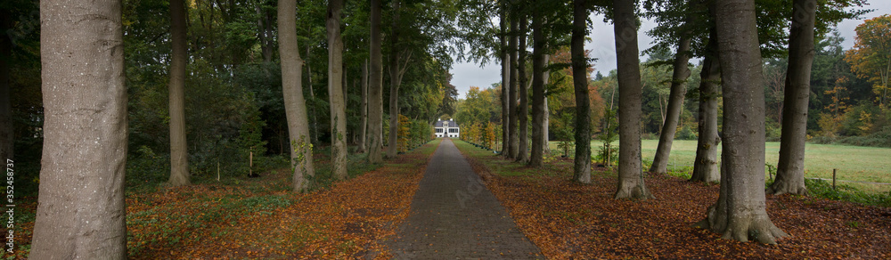 Estate, Fall. Autumn. Huis Westerbeek. Maatschappij van Weldadigheid Frederiksoord Drenthe Netherlands Panorama lane