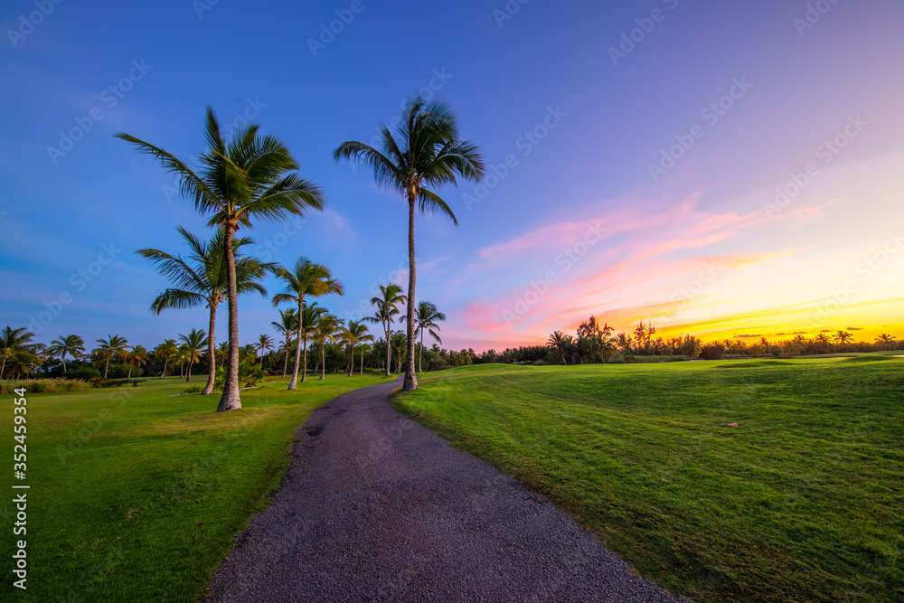 Tropical golf course at sunset in Dominican Republic, Punta Cana Tropical golf course at sunset in Dominican Republic, Punta Cana