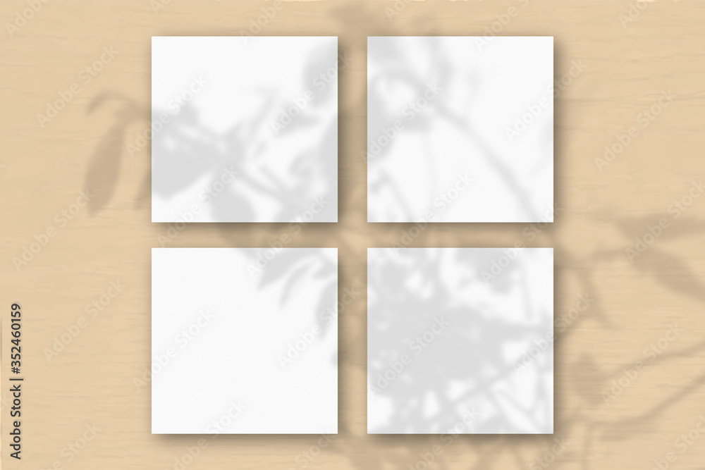 4 square sheets of white textured paper on the orange wall background. Mockup overlay with the plant shadows. Natural light casts shadows from an exotic plant.. Flat lay, top view 4 square sheets of white textured paper on the orange wall background. Mockup overlay with the plant shadows. Natural light casts shadows from an exotic plant.. Flat lay, top view
