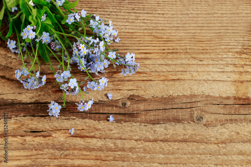 Forget-me-not flowers on rustic wooden background