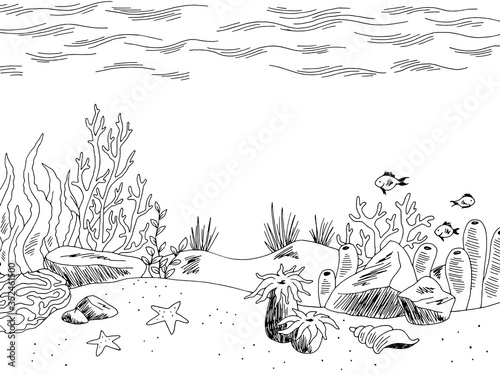 Underwater graphic sea black white sketch illustration vector
