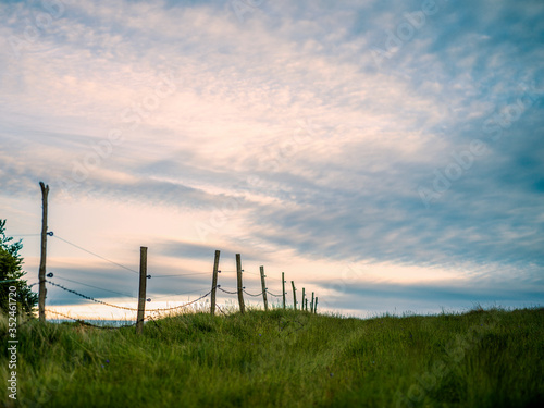 sunset over the field