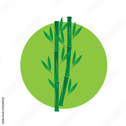 Bamboo Logo Natural Green Design Icon