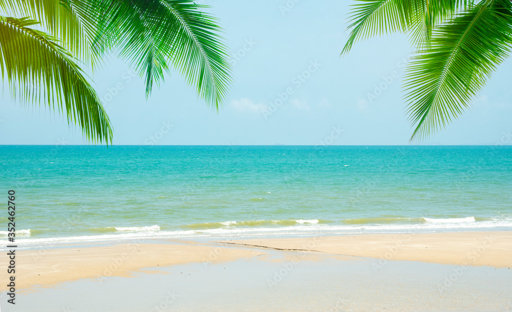Coconut tree leaf on the tropical beach with space for text , summer,holiday, vacation weekend or relax ,summer mid year sale concept
