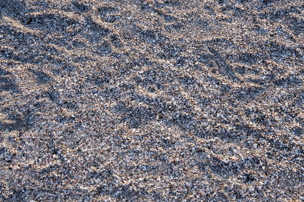 砂浜 砂浜