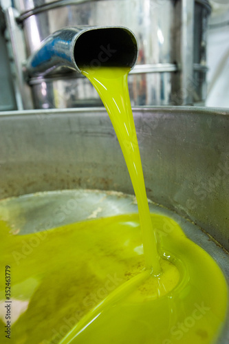 Obraz na plátně extraction of organic extra virgin oil after pressing the freshly picked olives