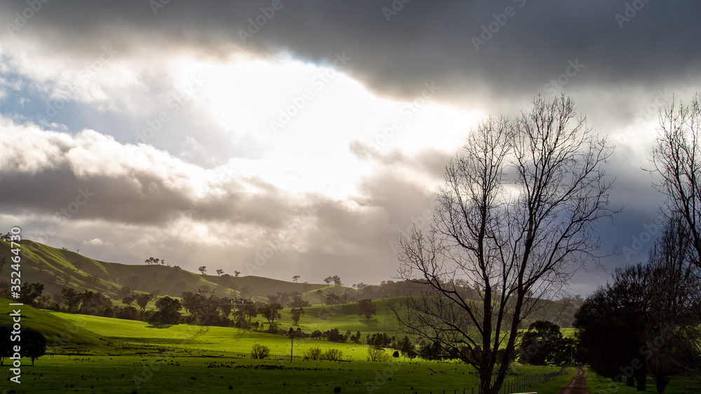 Amazing Winter Sunrise in Rural Victoria - Mansfield in Victoria, Australia. Australian landscape, road leading to a property Amazing Winter Sunrise in Rural Victoria - Mansfield in Victoria, Australia. Australian landscape, road leading to a property