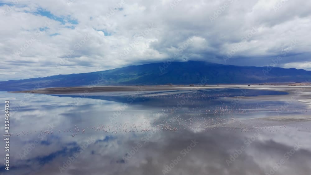 Aerial drone shot flying forward over Lake Natron with thousands of flamingos with a volcanic mountain at the background. Cloudy day. Aerial drone shot flying forward over Lake Natron with thousands of flamingos with a volcanic mountain at the background. Cloudy day.
