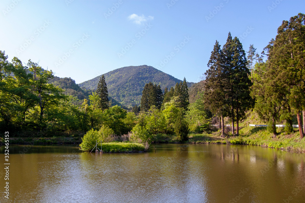 Fototapeta premium 池