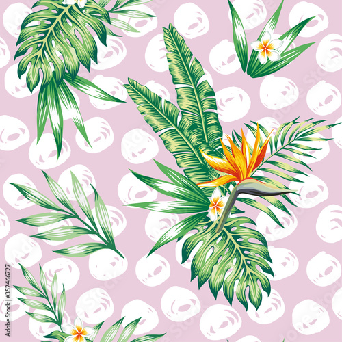 Tropikalna kompozycja na gałęzi egzotyczne kwiatowe palmy bananowe drzewo plaża Bezszwowe wektor tapety wzór kwiat Plumeria Strelitzia
