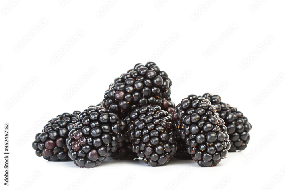 Moras frescas, maduras y naturales sobre fondo blanco liso y aislado. Vista de frente y de cerca. Copy space Moras frescas, maduras y naturales sobre fondo blanco liso y aislado. Vista de frente y de cerca. Copy space