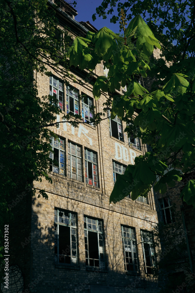 Fototapeta premium Hidden Ruin