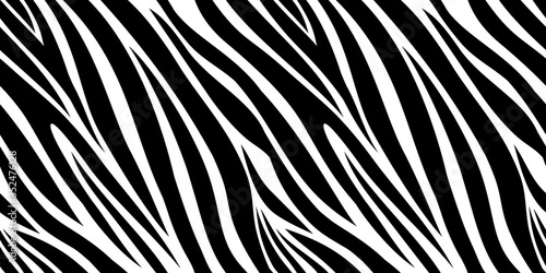 Zebra skin pattern. Animal print, black and white stripes background. Africa jungle, wildlife vector seamless texture. Illustration africa animal skin, wild seamless stripes black white