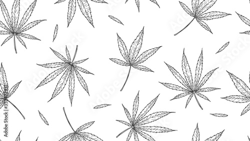 Cannabis pattern. marijuana leaves, hand drawn hemp background. medical natural healing leaf vector seamless texture. Seamless hemp and cannabis pattern illustration