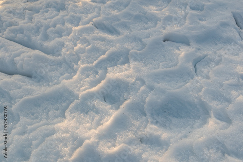 Footprints on the winter carpet , on the white snow, on the layer of frozen crystal coating