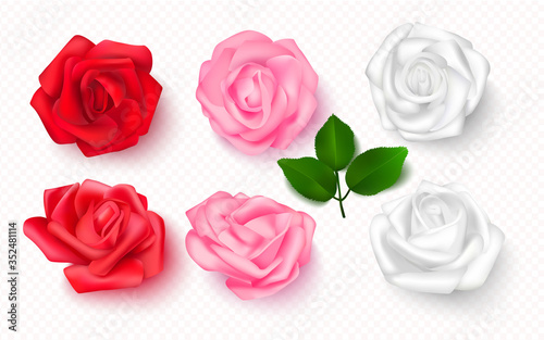 Set of rose buds on a transparent background. 3D flowers for cards, banners, invitations. Vector illustration. photo