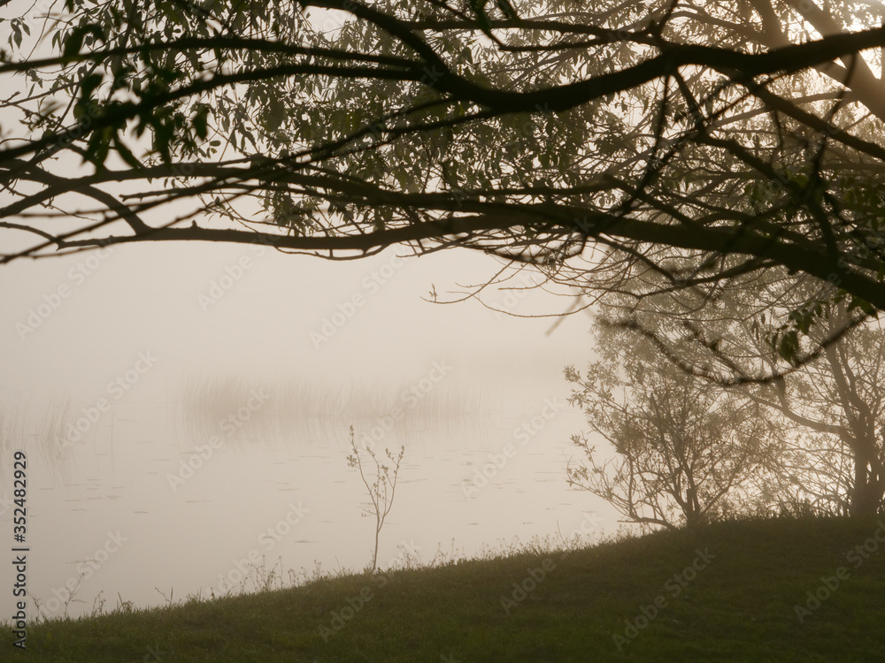 foggy morning on the river near the floodplain meadow foggy morning on the river near the floodplain meadow