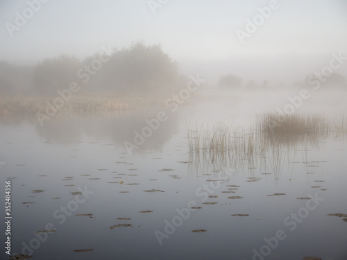 foggy morning on the river near the floodplain meadow