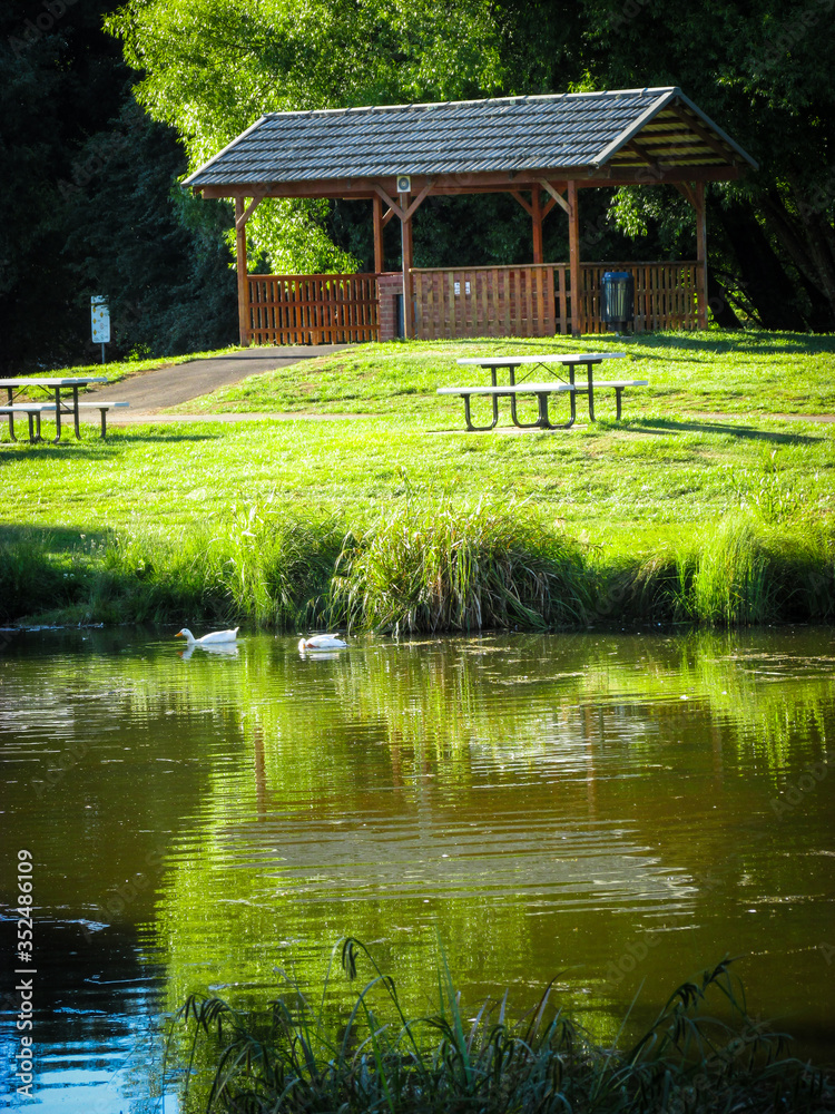 Fototapeta premium Park shelter at a nature reserve owned by the Rotary Club of Deloraine. Located adjacent to the Meander River and known as Wild Wood. It is a home to Tasmanian native fauna and is accessible on foot