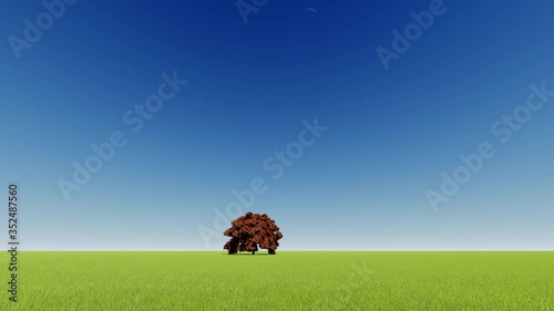 Green single tree Nature background. 4k photo