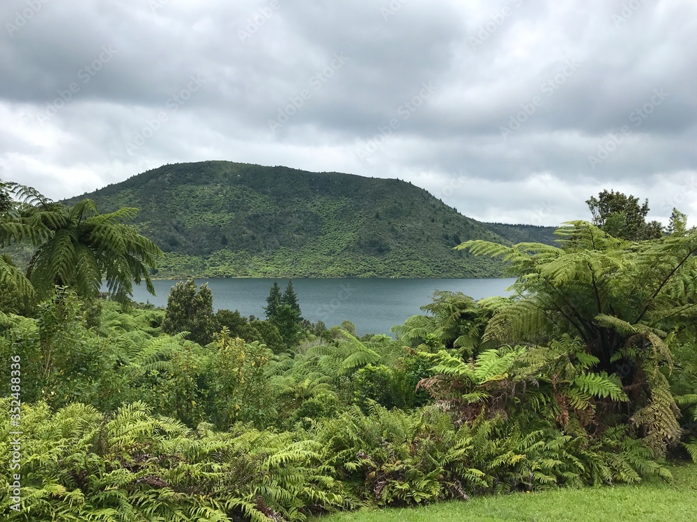 Fototapeta premium Green Lake, Neuseeland