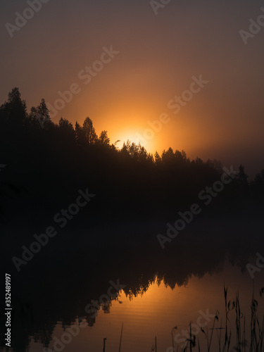 Summer misty dawn over the trees by the river