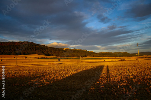 road in the field