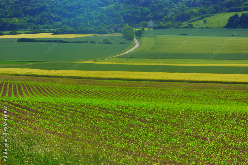 Obraz premium paysage