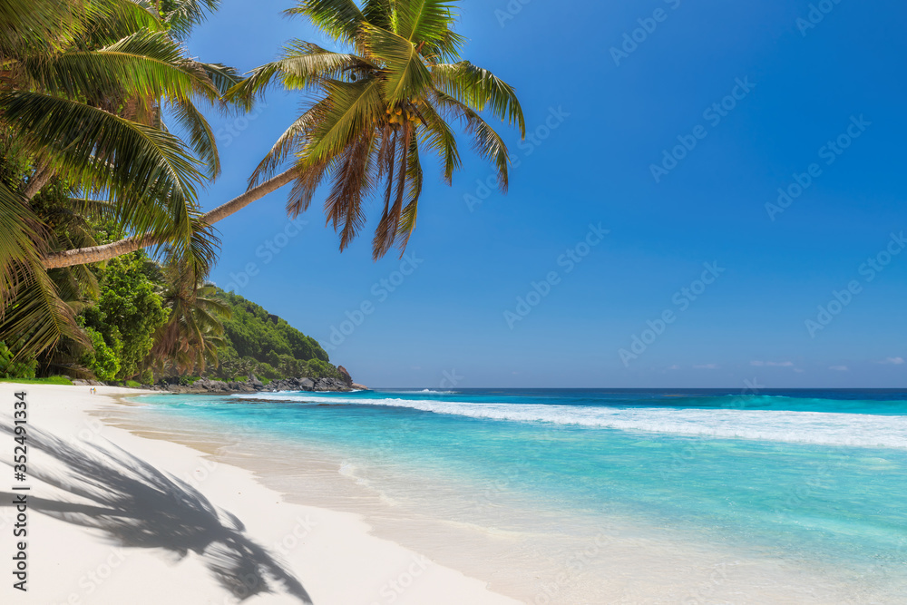 Beautiful white sand beach with coco palms and turquoise sea in Jamaica island.	