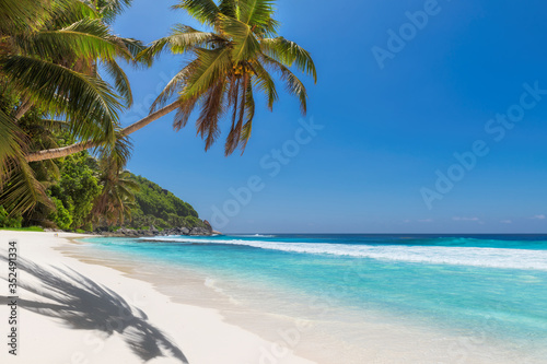Fototapeta Naklejka Na Ścianę i Meble -  Beautiful white sand beach with coco palms and turquoise sea in Jamaica island.	