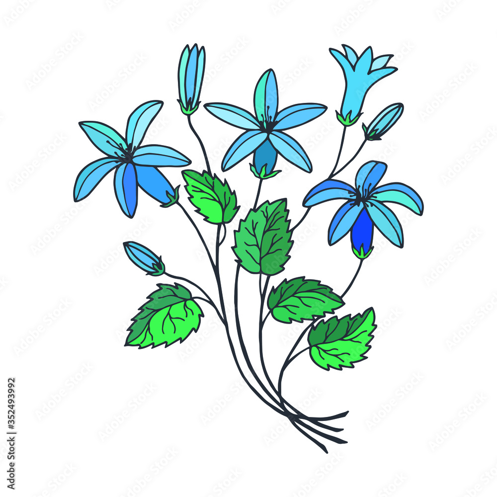 Obraz premium Flowers bluebells. Vector stock illustration eps 10. Hand drawing.