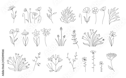 Sketch Floral Botany Collection.Wedding flowers blossoming. Outline vector set of different flowers. Black and white with line art on white backgrounds. Hand Drawn Illustrations. Vector. Vintage style