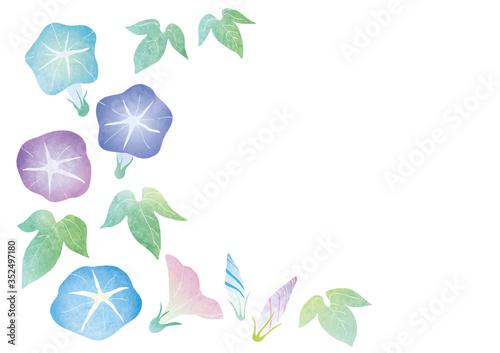 朝顔のベクターイラスト（水彩）