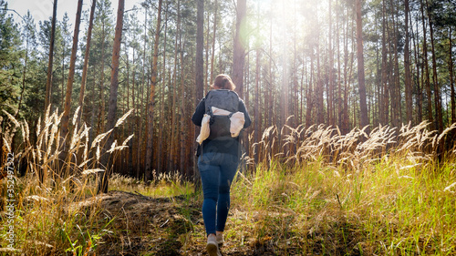 Rear view photo of young woman with backpack for hiking walking on route in pine tree forest