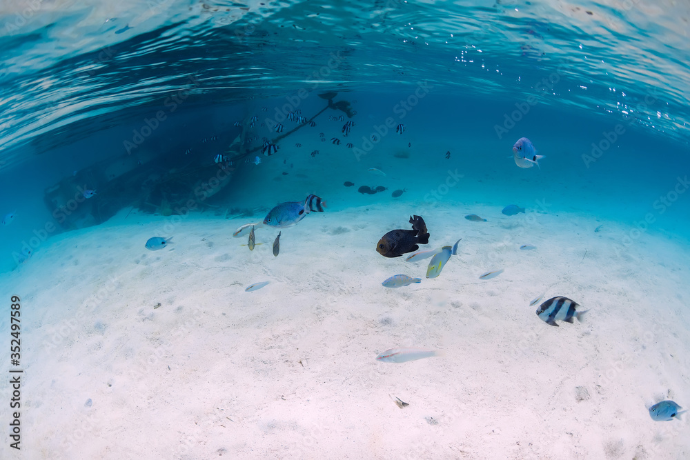 Tropical blue sea with wreck on sandy bottom and tropical fish, underwater in Mauritius Tropical blue sea with wreck on sandy bottom and tropical fish, underwater in Mauritius