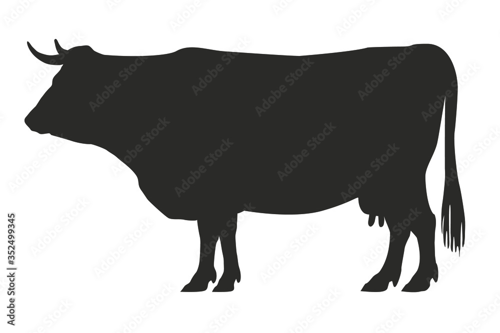 Cow, side view. Hand drawn silhouette on separated white background.
Cow, side view. Hand drawn silhouette on separated white background.