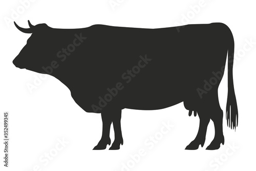 Cow  side view. Hand drawn silhouette on separated white background. 