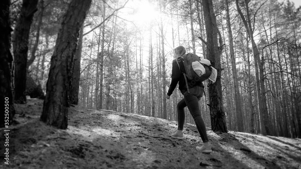 Black and white image of young female hiker walking up the hill in pine tree forest